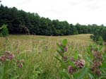 GunPowderFalls6-29-08 -026-1