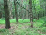 GunPowderFalls6-29-08 -027-1