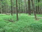GunPowderFalls6-29-08 -028-1