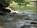 GunPowderFalls6-29-08 -042-1