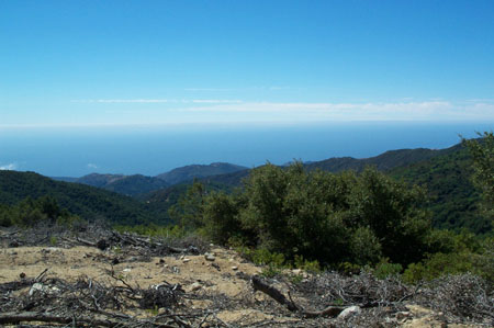 Devil's Peak Trail 3