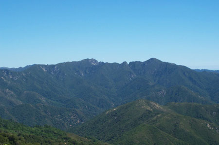 Devil's Peak Trail 5