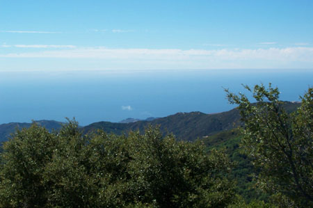 Devil's Peak Trail 6