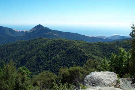 Devil's Peak Trail 8