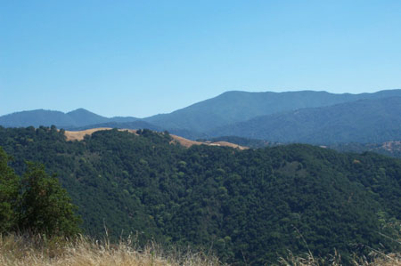 GR view 1