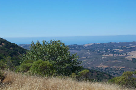 GR view 2