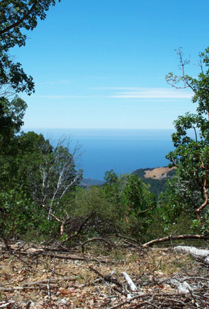 Mt Carmel Trail 3