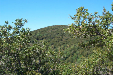 Mt. Carmel from Devil's Peak