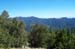 Devil's Peak Trail 9