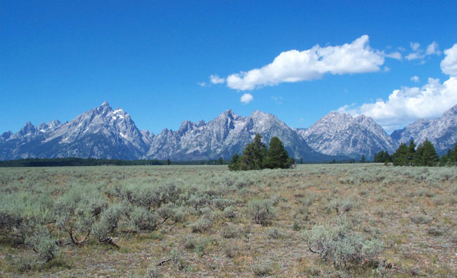 Tetons