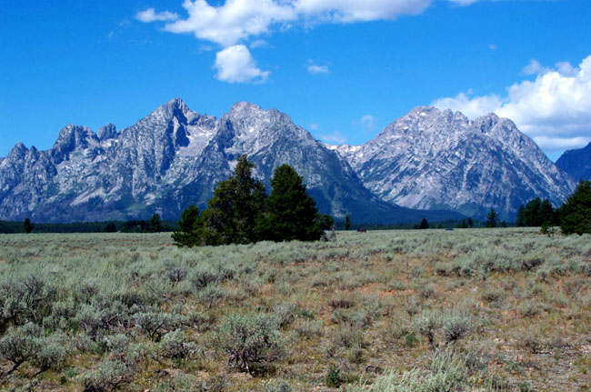 Tetons