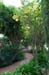 Garden 1