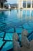 Neptune Pool 5