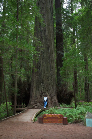 Pete at Founder's Tree