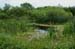 Marsh 1