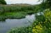 Marsh 6