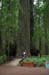 Pete at Founder's Tree