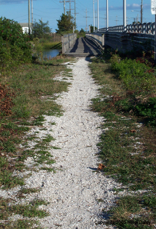 Path