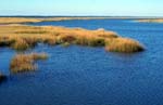 Marsh2
