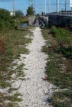 Path
