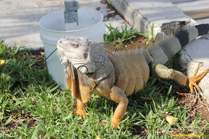 IMG_0328