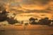 Sunset1