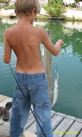 Cody & Baracuda 1