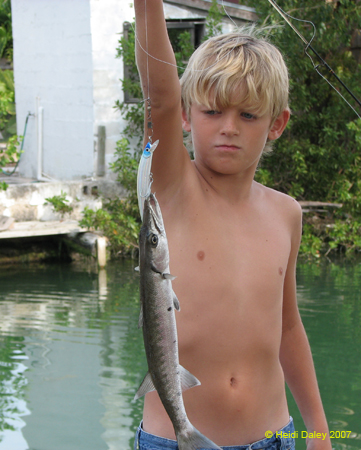 Cody & Baracuda 2