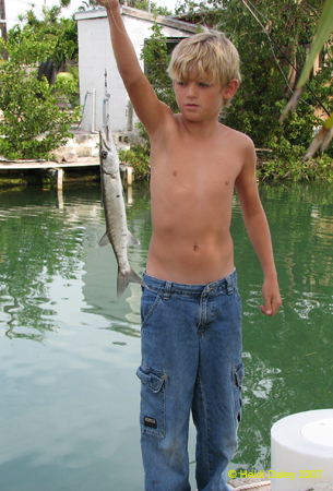 Cody & Baracuda 3