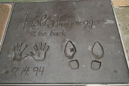 Arnold Schwarzenegger's Tile