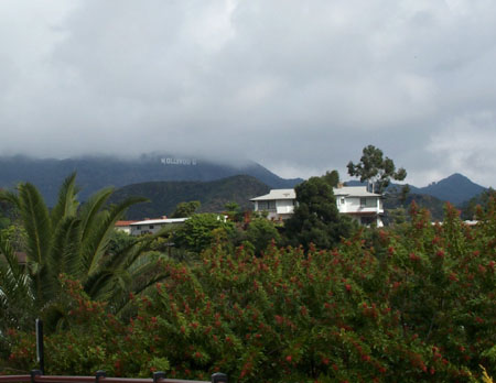 City View 1