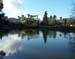 Brea Tar Pits 2