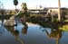 Brea Tar Pits