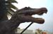 Jurasic Park