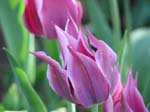 IMG_7530