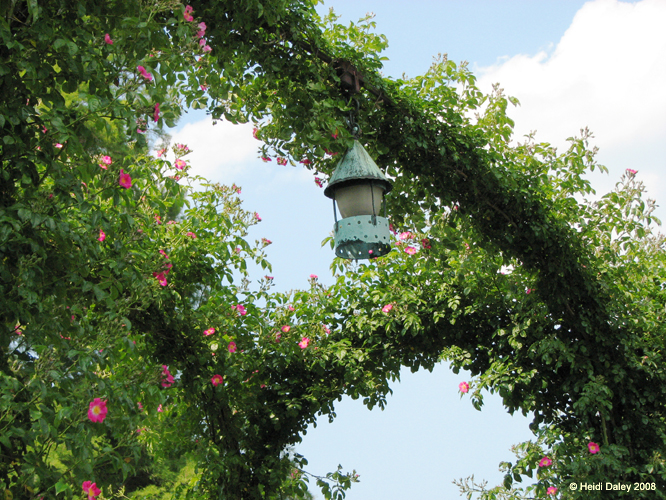 Longwood Gardens -001-1