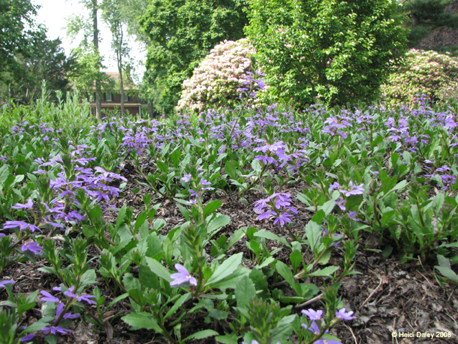 Longwood Gardens -007
