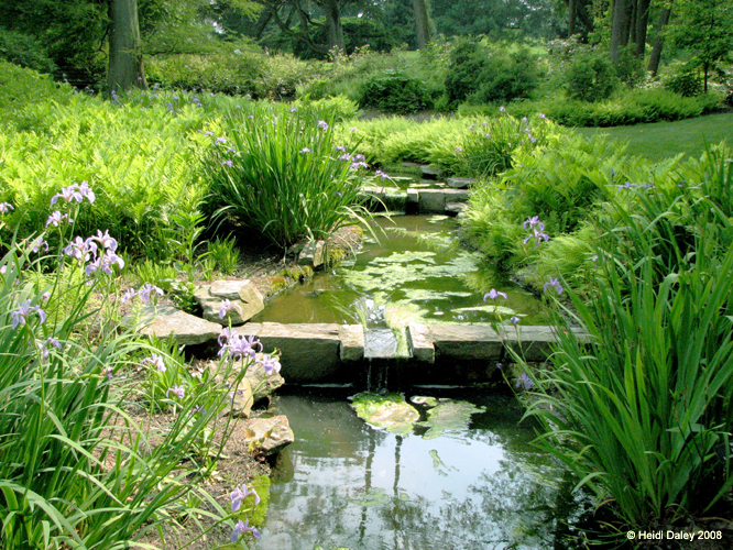Longwood Gardens -019-1