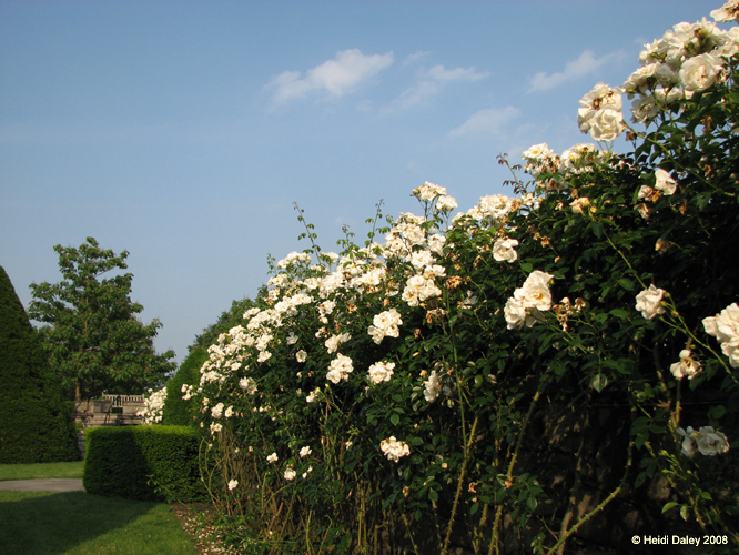 Longwood Gardens -166