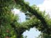 Longwood Gardens -001-1