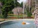 Longwood Gardens -011