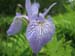 Longwood Gardens -025