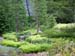 Longwood Gardens -026-1