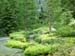 Longwood Gardens -028-1