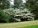 Longwood Gardens -030-1