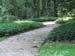 Longwood Gardens -059-1