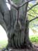 Longwood Gardens -063-1