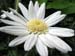 Longwood Gardens -071-1