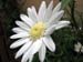 Longwood Gardens -073-2