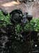 Longwood Gardens -087